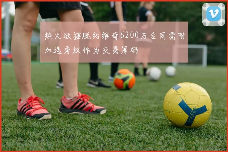 热火欲摆脱约维奇6200万合同需附加选秀权作为交易筹码