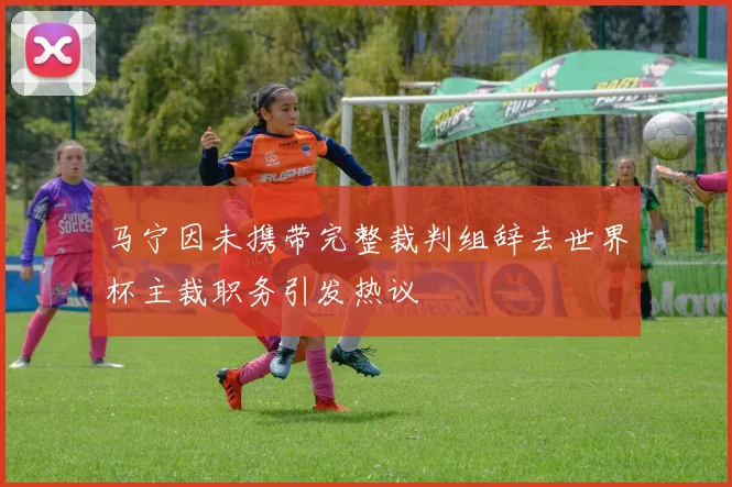 马宁因未携带完整裁判组辞去世界杯主裁职务引发热议
